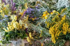 15.08.2025 Kräutersegnung zu Mariä Himmelfahrt